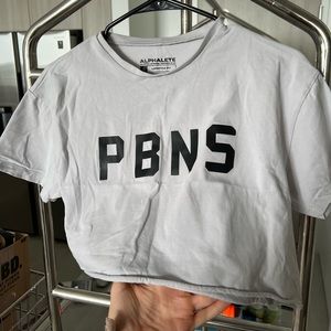 Alphalete Crop Top in Gray PBNS